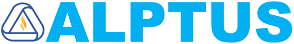 "IT Services and consulting solutions in Germany"