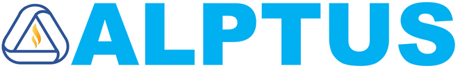 "IT Services and consulting solutions in Germany"