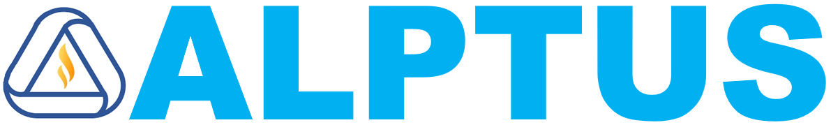 "IT Services and consulting solutions in Germany"